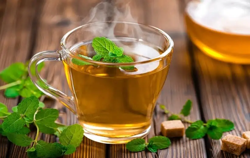 طرز تهیه چای نعناع