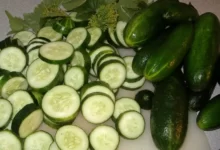 خواص و فواید خیار خورد شده
