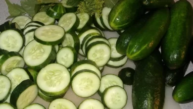 فواید خیار : 20 نمونه از خواص و فواید خیار 11 خواص و فواید خیار خورد شده