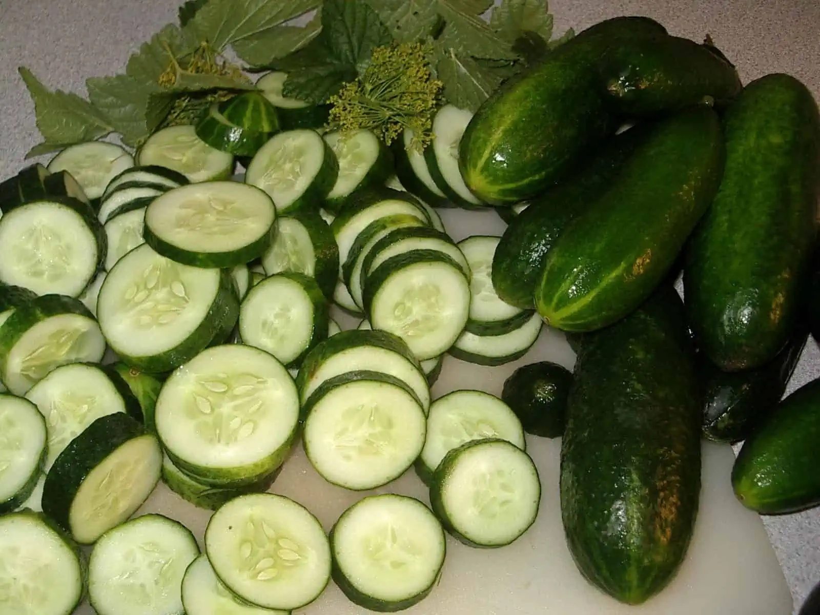 فواید خیار : 20 نمونه از خواص و فواید خیار 11 خواص و فواید خیار خورد شده