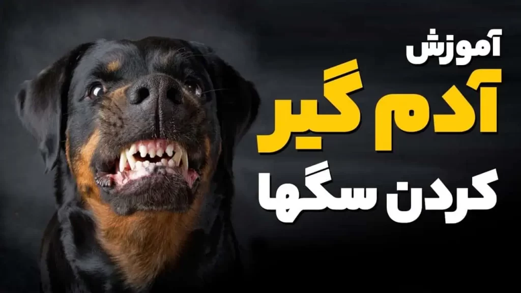 اهمیت و ضرورت وحشی کردن سگ ها
