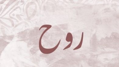 دانلود ریمیکس روح روح