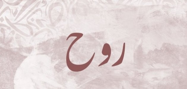 دانلود ریمیکس روح روح