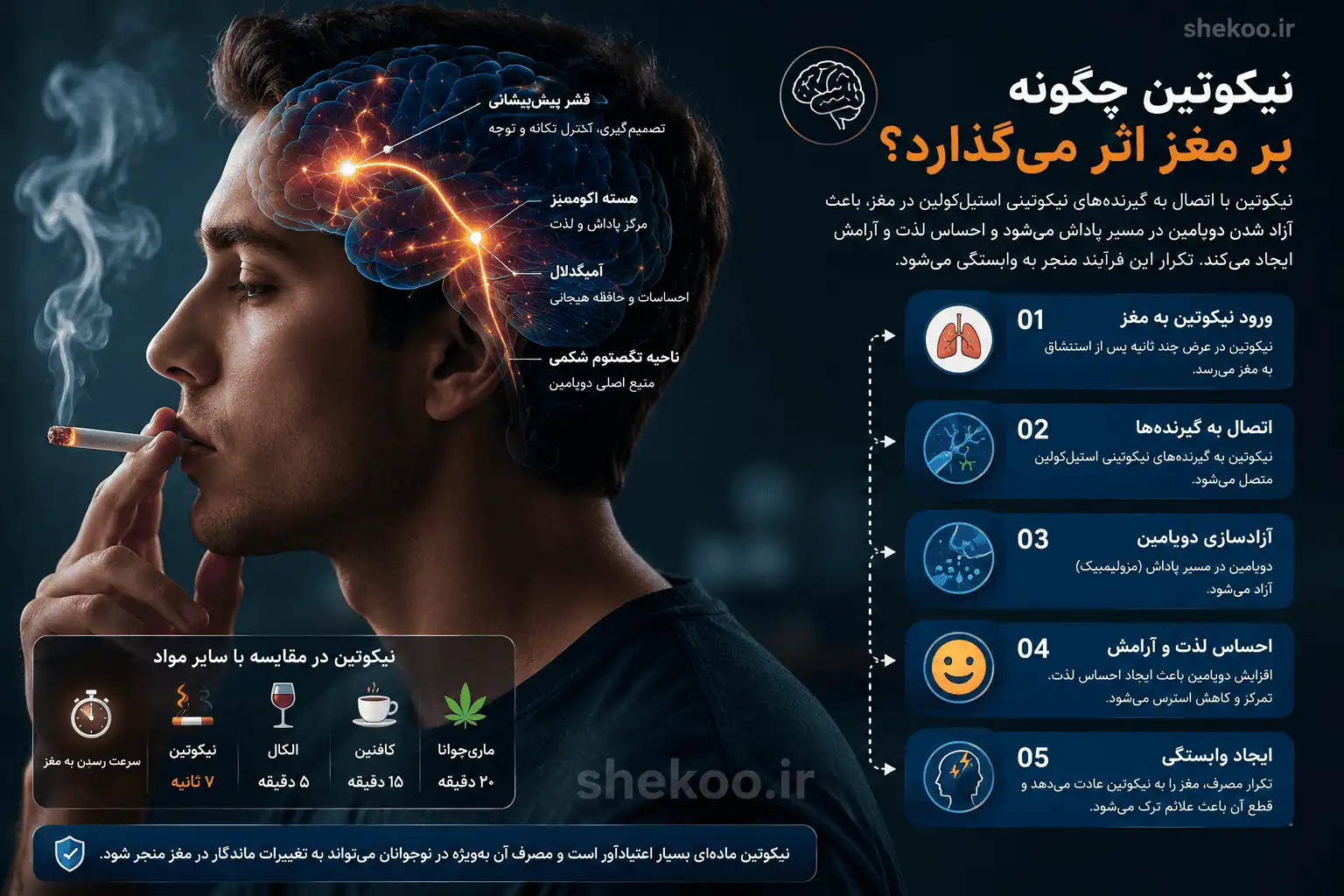 نیکوتین چیست؟ بررسی اثرات، عوارض، اعتیاد، ماندگاری و روش ترک 14 تأثیر نیکوتین بر مغز و آزاد شدن دوپامین و ایجاد وابستگی