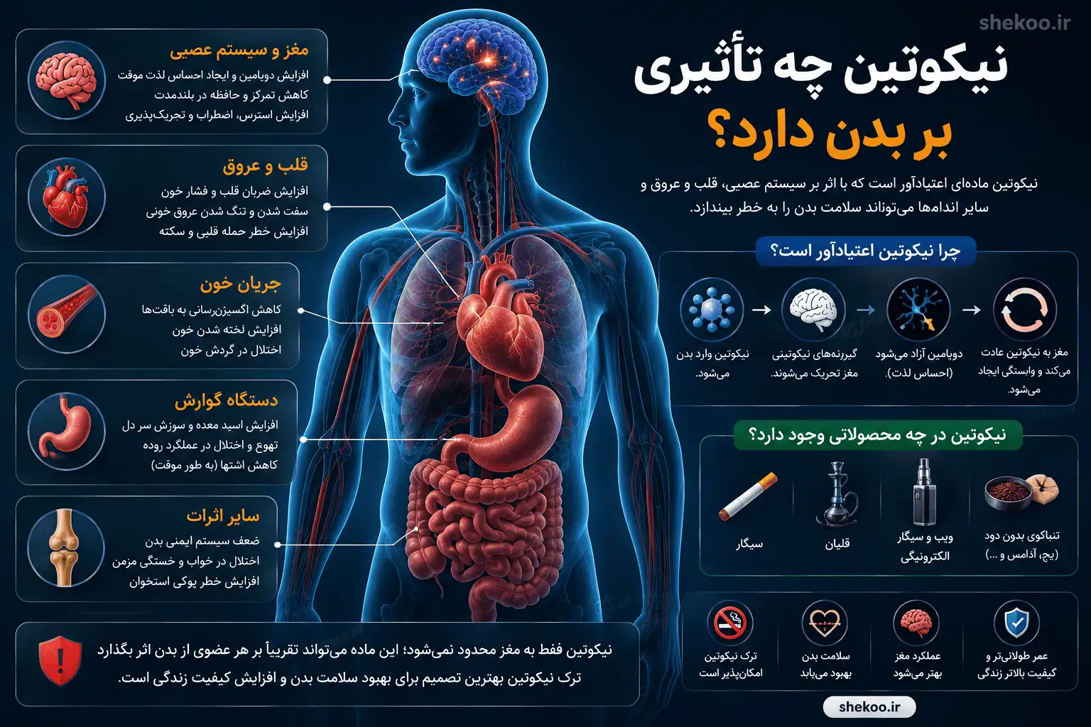 نیکوتین چیست؟ بررسی اثرات، عوارض، اعتیاد، ماندگاری و روش ترک 15 تأثیر نیکوتین بر مغز، قلب، عروق و سایر بخشهای بدن